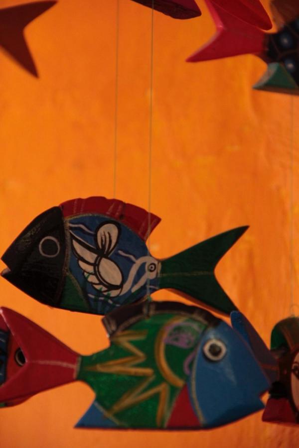 Pensión La Casa Naranja Isla Mujeres